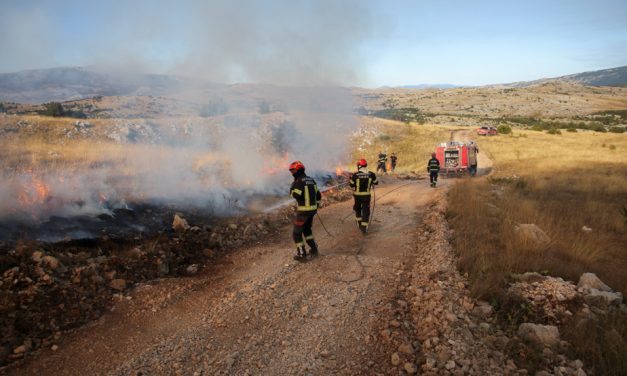 Nouveau rapport | Encore plus de canicules, de sécheresses et d’incendies, prévient l’ONU