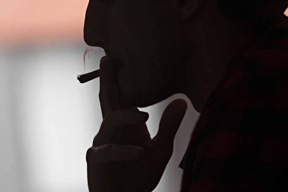 Cannabis | Pourquoi la consommation est-elle en baisse au Québec ?