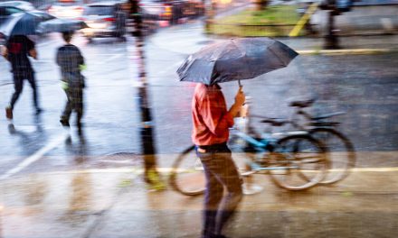 Montréal et Montérégie | De 40 à 60 mm de pluie attendus mardi