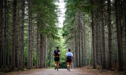 Le club en mouvement | Posez vos questions sur les meilleures façons de courir sans se blesser