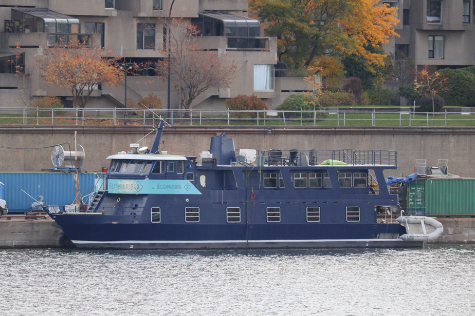 Crise de l’itinérance | Un bateau servira de refuge pour des jeunes à Québec