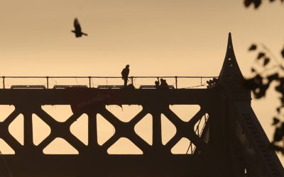 Jusqu’où peut-on déranger le public pour le climat ?