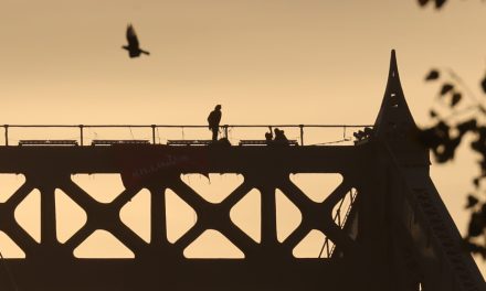 Jusqu’où peut-on déranger le public pour le climat ?