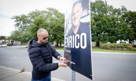 Vous voulez des pancartes électorales ? « Servez-vous ! »