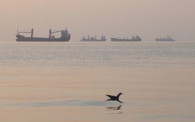 Planète économique | Le pétrole est plus fort que la guerre