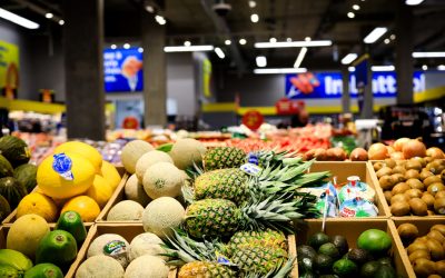 Maxi | Fraîcheur garantie ou argent remis… et produit aussi