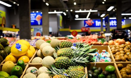 Maxi | Fraîcheur garantie ou argent remis… et produit aussi