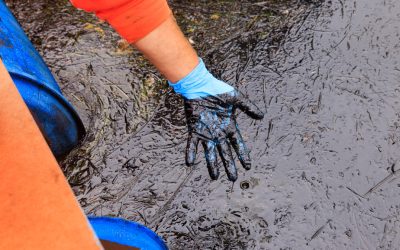 Déversement d’hydrocarbure à Pointe-aux-Trembles | Deux ans plus tard, Montréal et le gouvernement devant la justice