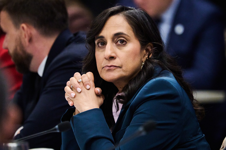 Réunion du G20 | La ministre des Affaires étrangères fait passer un message à la Russie