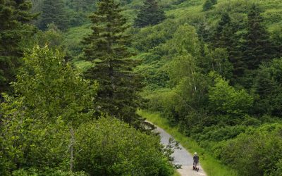Parcs Canada | Près de 3000 personnes pourraient perdre leur emploi