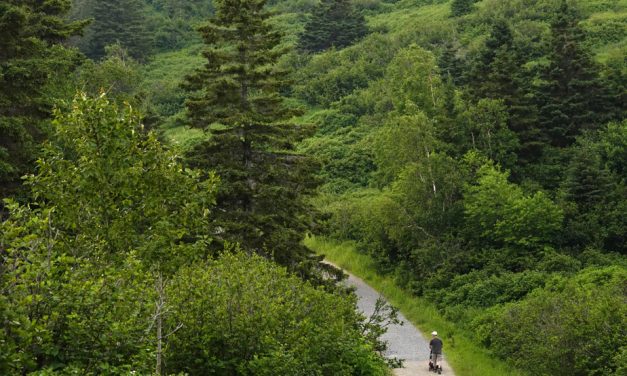 Parcs Canada | Près de 3000 personnes pourraient perdre leur emploi