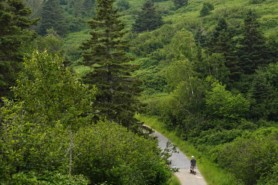 Parcs Canada | Près de 3000 personnes pourraient perdre leur emploi