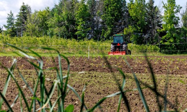 Réévaluation obligatoire des pesticides | Un agronome atteint de Parkinson interpelle Ottawa