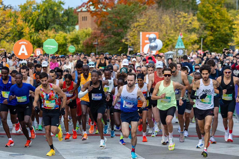 Marathon de Montréal | Toujours autant d’engouement chez les coureurs et les supporteurs