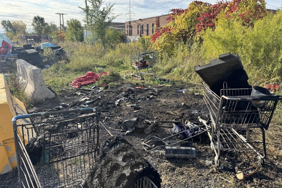 Montréal-Nord | Une femme meurt après un incendie dans un campement