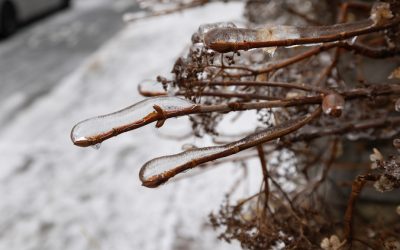 Fausse alerte au verglas | Une prévision météo erronée fait tomber son procès