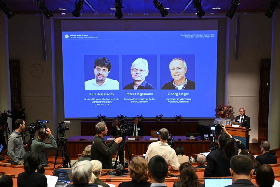 Nobel de médecine | Un trio américano-allemand récompensé pour leurs travaux sur la mémoire