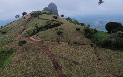Mise en garde de l’ONU | El Niño va continuer à s’intensifier jusqu’à son pic en décembre