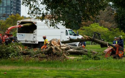 Washington | Une juge suspend le déboisement d’un golf pour l’un des projets de Trump